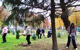 изображение_viber_2025-10-28_10-16-16-415