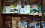 IMG_20200908_141917