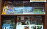IMG_20200908_142016