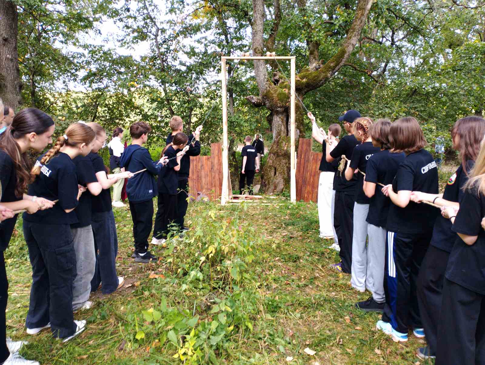 изображение_viber_2025-09-15_11-54-12-913